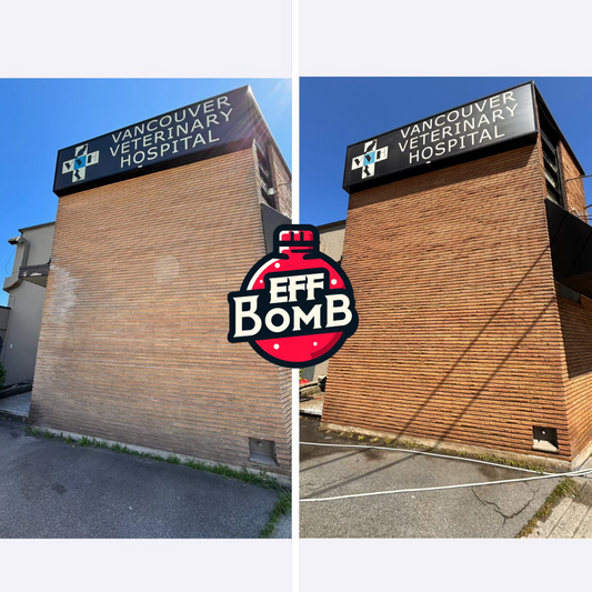 EffBOMB restores local landmark animal hospitals brick facade to new